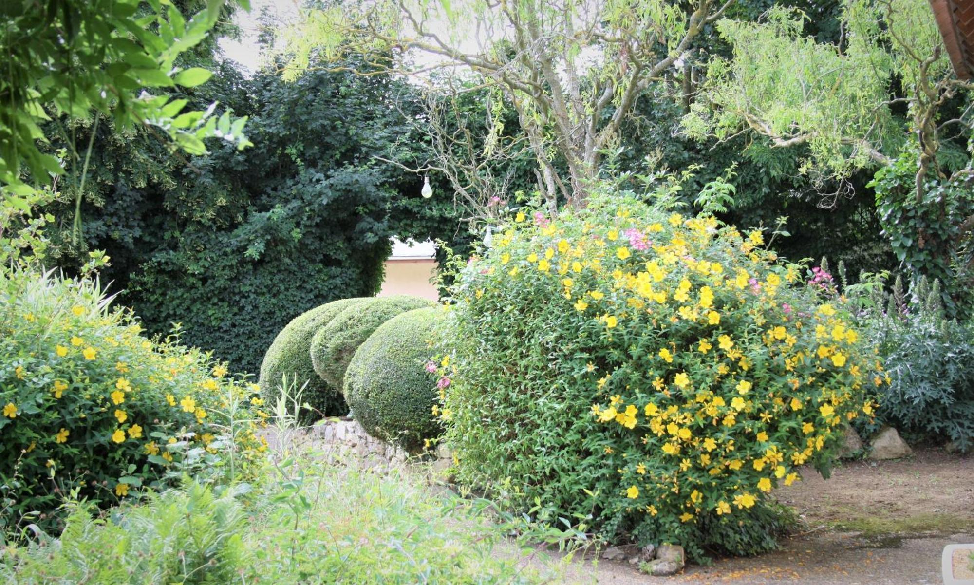 Manoir De La Basse-Cour Bed & Breakfast Asnieres-sur-Vegre Bagian luar foto